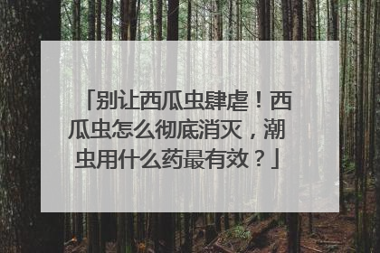 别让西瓜虫肆虐！西瓜虫怎么彻底消灭，潮虫用什么药最有效？