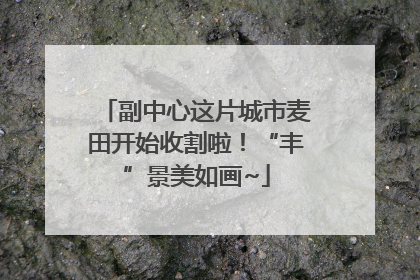 副中心这片城市麦田开始收割啦！“丰”景美如画~