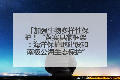 加强生物多样性保护！“落实昆蒙框架：海洋保护地建设和南极公海生态保护”主题论坛将举办