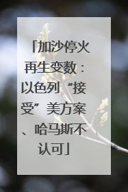 加沙停火再生变数：以色列“接受”美方案、哈马斯不认可