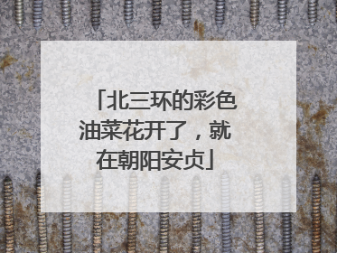 北三环的彩色油菜花开了，就在朝阳安贞