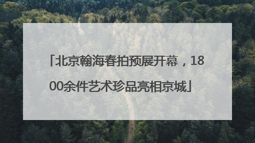 北京翰海春拍预展开幕，1800余件艺术珍品亮相京城