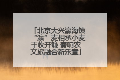 北京大兴瀛海镇“瀛”麦相承小麦丰收开镰 奏响农文旅融合新乐章