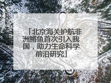 北京海关护航非洲鳉鱼首次引入我国，助力生命科学前沿研究