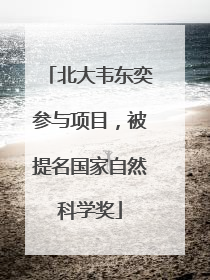 北大韦东奕参与项目，被提名国家自然科学奖