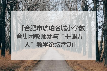合肥市琥珀名城小学教育集团教师参与“千课万人”数学论坛活动