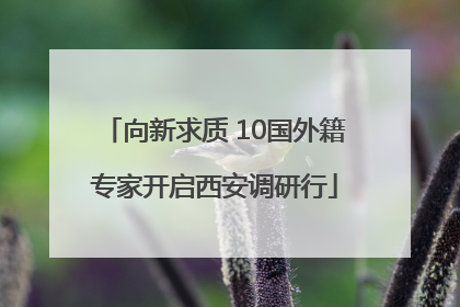 向新求质 10国外籍专家开启西安调研行