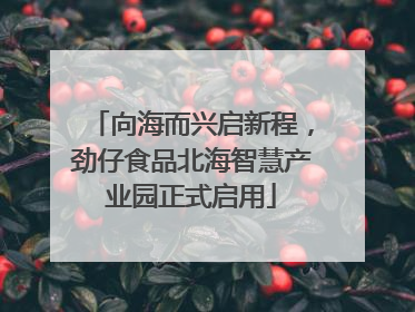 向海而兴启新程，劲仔食品北海智慧产业园正式启用