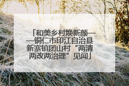 和美乡村焕新颜——铜仁市印江自治县新寨镇团山村“两清两改两治理”见闻