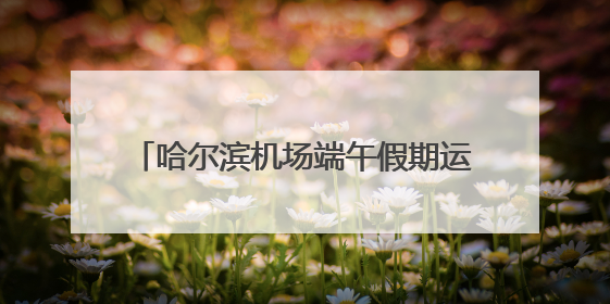 哈尔滨机场端午假期运送旅客16.2万人次
