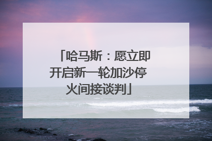 哈马斯：愿立即开启新一轮加沙停火间接谈判