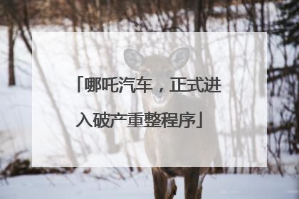 哪吒汽车，正式进入破产重整程序