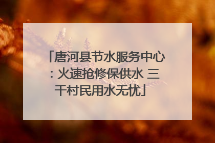 唐河县节水服务中心：火速抢修保供水 三千村民用水无忧