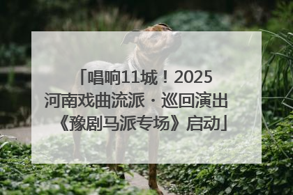唱响11城！2025河南戏曲流派・巡回演出《豫剧马派专场》启动