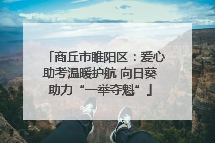 商丘市睢阳区：爱心助考温暖护航 向日葵助力“一举夺魁”