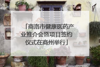 商洛市健康医药产业推介会暨项目签约仪式在商州举行