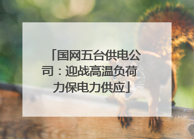 国网五台供电公司：迎战高温负荷 力保电力供应