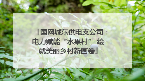 国网城东供电支公司：电力赋能“水果村” 绘就美丽乡村新画卷