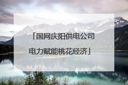 国网庆阳供电公司电力赋能桃花经济