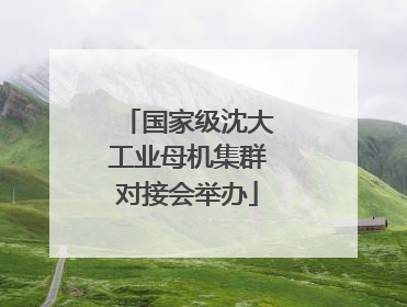 国家级沈大工业母机集群对接会举办