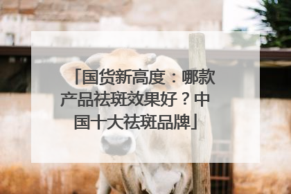 国货新高度：哪款产品祛斑效果好？中国十大祛斑品牌