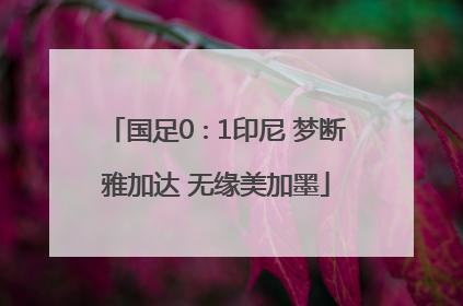 国足0∶1印尼 梦断雅加达 无缘美加墨