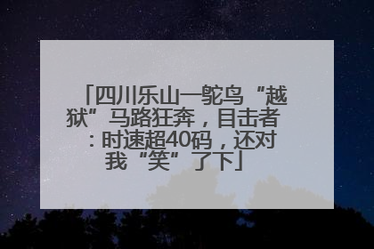 四川乐山一鸵鸟“越狱”马路狂奔，目击者：时速超40码，还对我“笑”了下