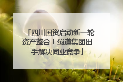 四川国资启动新一轮资产整合！蜀道集团出手解决同业竞争