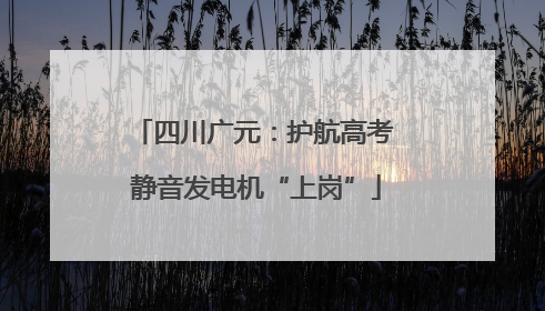 四川广元：护航高考 静音发电机“上岗”
