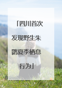 四川首次发现野生朱鹮夏季栖息行为