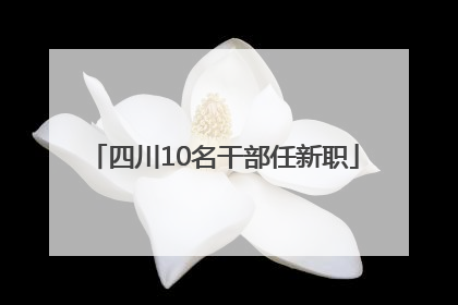四川10名干部任新职