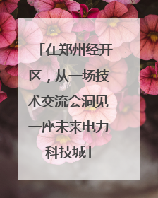 在郑州经开区，从一场技术交流会洞见一座未来电力科技城