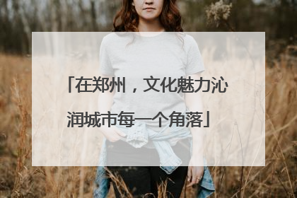 在郑州，文化魅力沁润城市每一个角落
