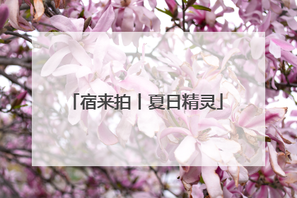 宿来拍丨夏日精灵