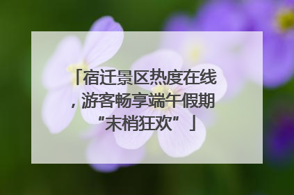 宿迁景区热度在线，游客畅享端午假期“末梢狂欢”