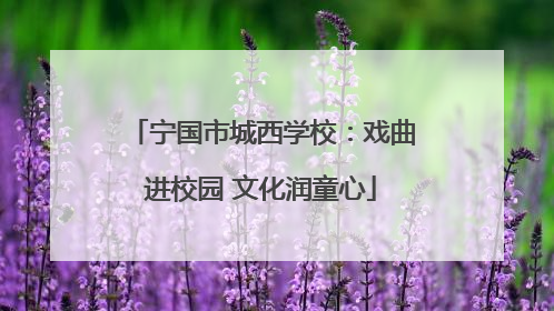 宁国市城西学校：戏曲进校园 文化润童心