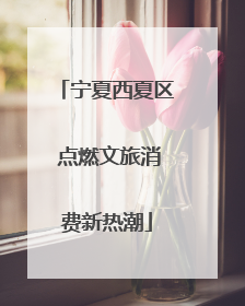 宁夏西夏区 点燃文旅消费新热潮