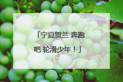 宁夏贺兰 奔跑吧 轮滑少年！