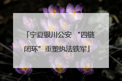 宁夏银川公安 “四链闭环”重塑执法铁军
