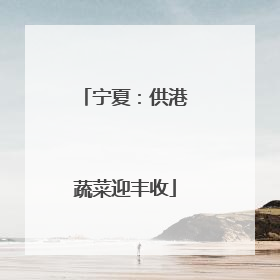 宁夏：供港蔬菜迎丰收