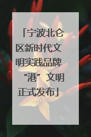 宁波北仑区新时代文明实践品牌“港”文明正式发布