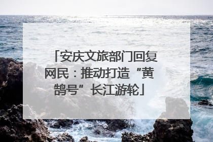 安庆文旅部门回复网民：推动打造“黄鹄号”长江游轮