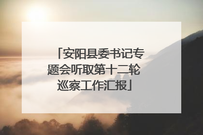 安阳县委书记专题会听取第十二轮巡察工作汇报