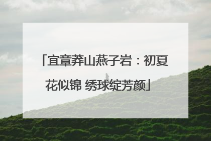 宜章莽山燕子岩：初夏花似锦 绣球绽芳颜