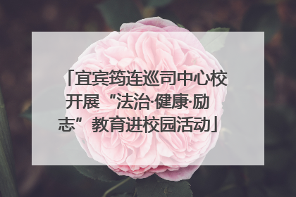 宜宾筠连巡司中心校开展“法治·健康·励志”教育进校园活动