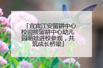 宜宾江安留耕中心校迎接留耕中心幼儿园萌娃进校参观，共筑成长桥梁