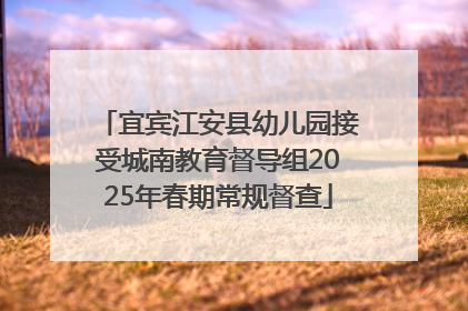 宜宾江安县幼儿园接受城南教育督导组2025年春期常规督查