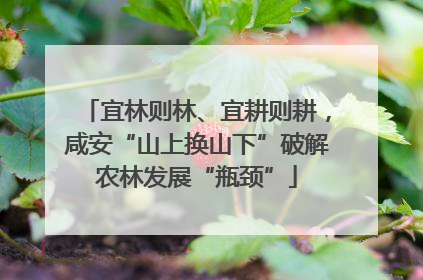 宜林则林、宜耕则耕，咸安“山上换山下”破解农林发展“瓶颈”