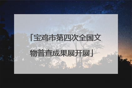 宝鸡市第四次全国文物普查成果展开展
