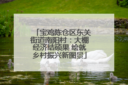 宝鸡陈仓区东关街道南阳村：大棚经济结硕果 绘就乡村振兴新图景